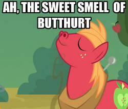 Size: 500x427 | Tagged: safe, big macintosh, earth pony, pony, g4, butthurt, caption, image macro, male, stallion