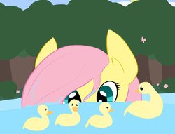 Size: 1022x782 | Tagged: safe, artist:fribox, fluttershy, duck, g4