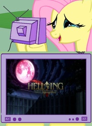 Size: 563x771 | Tagged: safe, fluttershy, pony, g4, exploitable meme, fluttercry, hellsing, meme, tv meme