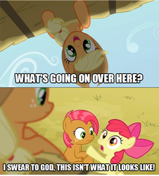 Size: 633x699 | Tagged: source needed, safe, edit, edited screencap, screencap, apple bloom, applejack, babs seed, pony, g4, all caps, comic, female, filly, foal, image macro, impact font, implied applecest, implied incest, implied shipping, lesbian, ship:appleseed, shipping