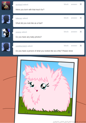 Size: 650x926 | Tagged: safe, artist:mixermike622, oc, oc only, oc:fluffle puff, earth pony, pony, tumblr:ask fluffle puff, g4, ask, cute, diabetes, filly, flufflebetes, ocbetes, photo, tumblr, younger