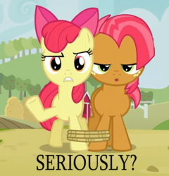 Size: 530x553 | Tagged: safe, apple bloom, babs seed, earth pony, pony, apple family reunion, g4, cropped, duo, duo female, female, filly, foal, raised hoof, seriously, seven-legged race