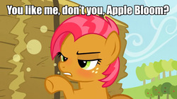 Size: 1280x718 | Tagged: safe, edit, edited screencap, screencap, babs seed, earth pony, pony, apple family reunion, g4, blushing, caption, cider, confrontation, drunk, drunker babs, female, filly, image macro, implied apple bloom, implied applecest, implied incest, implied shipping, meme, solo