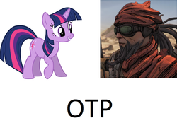 Size: 1000x793 | Tagged: safe, twilight sparkle, g4, borderlands, crack shipping, crossover shipping, exploitable meme, mordecai (borderlands), otp, shipping