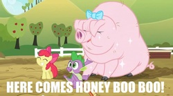 Size: 854x475 | Tagged: safe, artist:fineartobserver, edit, edited screencap, screencap, apple bloom, little piggington, spike, earth pony, pig, pony, g4, spike at your service, bow, caption, female, filly, here comes honey boo boo, honey boo boo, image macro, smiling, text