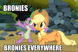 Size: 862x573 | Tagged: safe, screencap, applejack, spike, dragon, earth pony, pony, g4, spike at your service, caption, female, image macro, male, mare, meme, x x everywhere