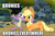 Size: 862x573 | Tagged: safe, screencap, applejack, spike, dragon, earth pony, pony, g4, my little pony: friendship is magic, spike at your service, caption, female, image macro, male, mare, meme, x x everywhere