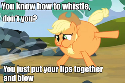 Size: 846x561 | Tagged: safe, edit, edited screencap, screencap, applejack, earth pony, pony, g4, spike at your service, air inflation, caption, female, image macro, inflation, mare, meme, solo, to have and have not, whistle