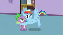 Size: 1366x768 | Tagged: safe, rainbow dash, spike, g4, my little pony: friendship is magic, spike at your service