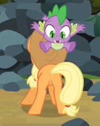 Size: 399x502 | Tagged: safe, screencap, applejack, spike, dragon, earth pony, pony, g4, spike at your service, applebutt, butt, female, male, mare, mine!, out of context, plot