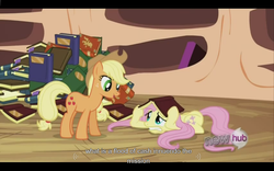 Size: 1024x640 | Tagged: safe, screencap, applejack, fluttershy, earth pony, pegasus, pony, g4, magic duel, book, duo, female, golden oaks library, mare, youtube caption