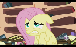 Size: 1024x640 | Tagged: safe, screencap, fluttershy, g4, magic duel, brent, youtube caption