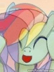 Size: 300x400 | Tagged: safe, fluttershy, rainbow dash, oc, oc only, pegasus, pony, g4, fusion, fusion:flutterdash, fusion:fluttershy, fusion:rainbow dash, meme, morph, morphing, morphthing, we have become one