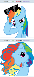 Size: 252x556 | Tagged: safe, rainbow dash, derpibooru, g4, exploitable meme, juxtaposition, juxtaposition win, meme, meta