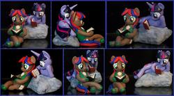 Size: 8464x4688 | Tagged: safe, artist:madponyscientist, twilight sparkle, oc, pony, g4, absurd resolution, book, customized toy, irl, photo, rock, sculpture