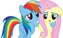 Size: 5000x3000 | Tagged: safe, artist:acer-rubrum, fluttershy, rainbow dash, g4, simple background, transparent background, vector