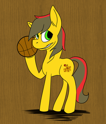 Size: 904x1054 | Tagged: safe, artist:cardigan-poni, oc, oc only, valpony