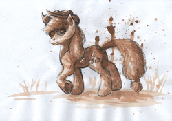 Size: 1500x1054 | Tagged: safe, artist:gonedreamer, applejack, g4, coffee art, traditional art