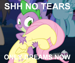 Size: 548x467 | Tagged: safe, fluttershy, spike, g4, female, image macro, jimmies, male, ship:flutterspike, shipping, straight