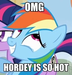 Size: 348x362 | Tagged: safe, rainbow dash, g4, hordey, image macro