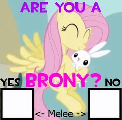 Size: 400x390 | Tagged: safe, angel bunny, fluttershy, g4, spray