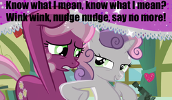 Size: 1200x700 | Tagged: safe, edit, edited screencap, screencap, cheerilee, sweetie belle, g4, hearts and hooves day (episode), caption, classroom, duo, heart, hearts and hooves day, if you know what i mean, image macro, meme, monty python, monty python's flying circus, nudge, nudging, parody, ponyville schoolhouse
