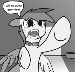 Size: 913x884 | Tagged: safe, rainbow dash, pegasus, pony, g4, abuse, bowl, collar, crying, dashabuse, female, monochrome, pet, pet play, pet-dash, pony pet