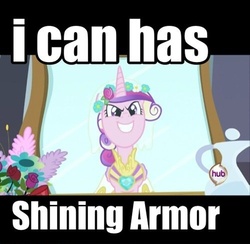 Size: 500x488 | Tagged: safe, queen chrysalis, g4, fake cadance, female, image macro, lolspeak, solo