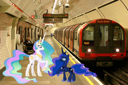 Size: 799x534 | Tagged: safe, princess celestia, princess luna, alicorn, pony, g4, england, female, irl, london, mare, photo, ponies in real life, royal sisters, siblings, sisters, united kingdom