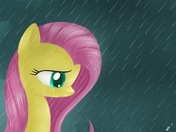 Size: 1600x1200 | Tagged: safe, artist:mcsadat, fluttershy, pony, g4, crying, female, rain, sad, solo