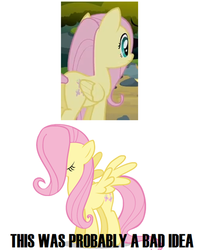 Size: 500x617 | Tagged: safe, edit, edited screencap, screencap, fluttershy, pegasus, pony, g4, my little pony: friendship is magic, spike at your service, female, hair, mare