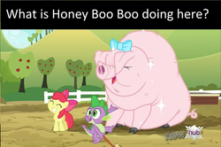 Size: 500x332 | Tagged: safe, edit, edited screencap, screencap, apple bloom, little piggington, spike, dragon, earth pony, pig, pony, g4, spike at your service, female, filly, honey boo boo, male