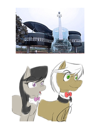 Size: 700x900 | Tagged: safe, artist:narbevoguel, frederic horseshoepin, octavia melody, earth pony, pony, g4, drool, female, male, mare, musical house, open mouth, photo, stallion