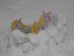 Size: 864x648 | Tagged: safe, artist:eratosofcyrene, derpy hooves, dinky hooves, pegasus, pony, unicorn, g4, female, horn, irl, mare, outdoors, photo, plush derpy, plushie, snow, snow fort