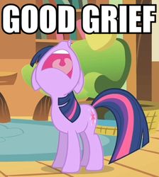 Size: 437x488 | Tagged: safe, twilight sparkle, g4, good grief, image macro, peanuts, reaction image