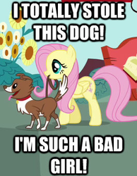 Size: 265x342 | Tagged: safe, fluttershy, winona, g4, spike at your service, image macro