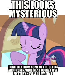 Size: 1353x1584 | Tagged: safe, edit, edited screencap, screencap, twilight sparkle, pony, unicorn, g4, mmmystery on the friendship express, adventure in the comments, hub logo, image macro, mystery in the comments, unicorn twilight