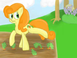 Size: 1600x1200 | Tagged: safe, artist:aeroxia, carrot top, derpy hooves, golden harvest, pegasus, pony, g4, carrot, female, lesbian, mare, raised leg, ship:derpytop, shipping, wingboner