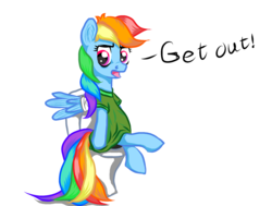 Size: 1098x828 | Tagged: dead source, safe, artist:jammaren, rainbow dash, pony, g4, bandage, but why, female, get out, implied pooping, sitting on toilet, solo, toilet