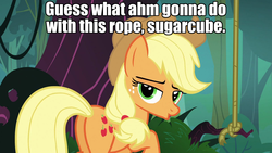 Size: 1920x1080 | Tagged: safe, edit, edited screencap, screencap, applejack, earth pony, pony, g4, butt, caption, female, looking at you, mare, out of context, plot, rope, text, tree