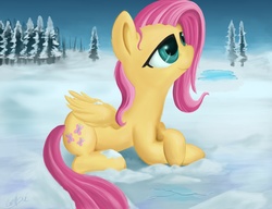 Size: 2600x2000 | Tagged: safe, artist:genbulein, fluttershy, pony, g4, female, looking up, lying down, snow, solo