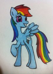 Size: 756x1057 | Tagged: safe, artist:drayarov, rainbow dash, pony, g4, female, solo, traditional art