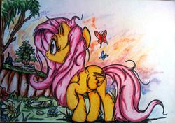 Size: 1859x1308 | Tagged: safe, artist:tomek2289, fluttershy, butterfly, pony, g4, female, solo, traditional art