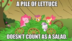 Size: 894x503 | Tagged: safe, apple bloom, pinkie pie, scootaloo, sweetie belle, g4, one bad apple, caption, cutie mark crusaders, image macro, veggie salad, wheel