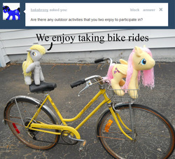 Size: 792x720 | Tagged: safe, artist:eratosofcyrene, derpy hooves, fluttershy, pegasus, pony, g4, ask, askplushderpy, bicycle, duo, female, folded wings, irl, mare, outdoors, photo, plush derpy, plushie, tumblr, wings