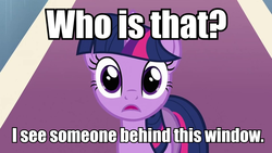 Size: 960x540 | Tagged: safe, twilight sparkle, g4, fourth wall, image macro, stare