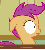 Size: 447x492 | Tagged: safe, screencap, scootaloo, pony, g4, hearts and hooves day (episode), animated, blinking, cropped, female, floppy ears, hearts and hooves day, loop, profile, solo