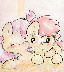 Size: 741x838 | Tagged: safe, artist:slightlyshade, apple bloom, babs seed, earth pony, pony, g4, blushing, female, incest, lesbian, licking, ship:appleseed, shipping, traditional art