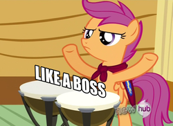 Size: 1000x727 | Tagged: safe, scootaloo, g4, my little pony: friendship is magic, one bad apple, drums, image macro, like a boss, musical instrument, reaction image