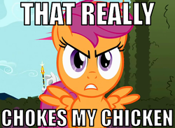 Size: 492x360 | Tagged: safe, scootaloo, chicken, g4, image macro, jimmies, reaction image, scootachicken
